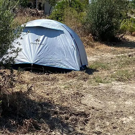 Yes_chef Camping *